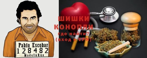 гидра Алексин