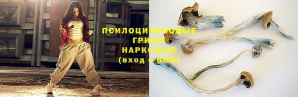 стафф Алексеевка