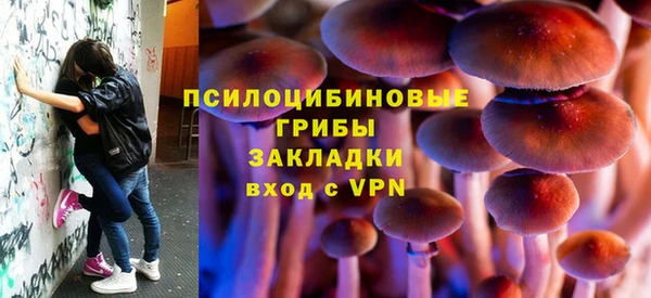гидра Алексин