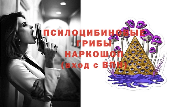 ECSTASY Алзамай